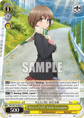 (C) 1/1 Kaede (Adolescence/Animal)