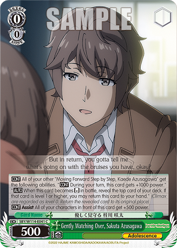 (C) 0/0 Sakuta (Adolescence)