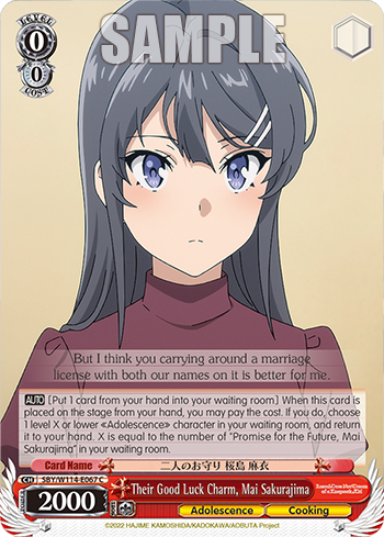 (C) 0/0 Mai (Adolescence/Cooking)