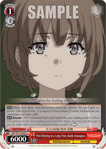(C) 1/1 Kaede (Adolescence/Animal)