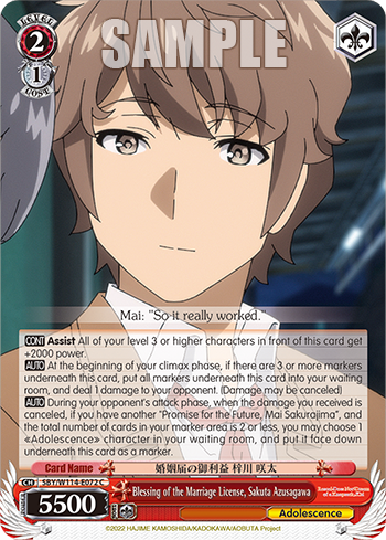 (C) 2/1 Sakuta (Adolescence)
