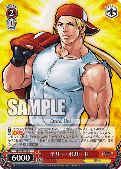 (N) 2/1 Terry Bogard (Animal)