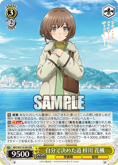 (RR) 3/2 Kaede (Adolescence/Animal)