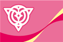 [PRE-ORDER] VGE DZ-BT14: Envoys of the Crimson Moon Nation Playsets
