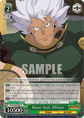 (C) 2/1 Elfman (Magic/Animal)