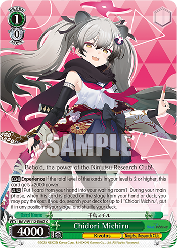 (C) 1/0 Michiru (Kivotos/Ninjutsu Research Department)