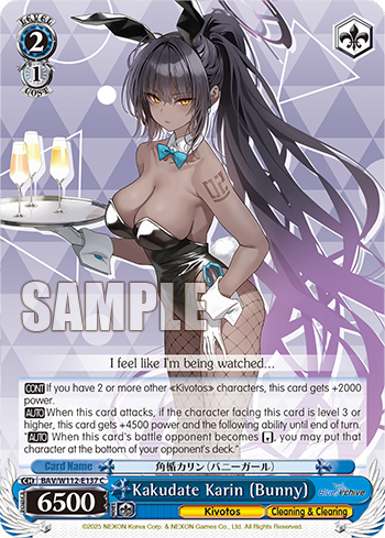 (C) 2/1 Karin (Kivotos/Cleaning & Clearing)