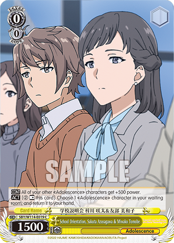 (C) 0/0 Sakuta & Miwako (Adolescence)