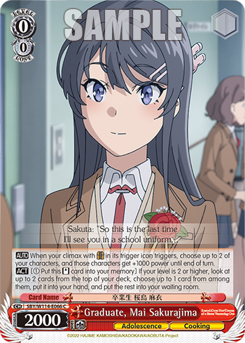 (C) 0/0 Mai (Adolescence/Cooking)