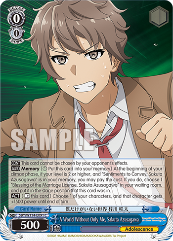 (C) 0/0 Sakuta (Adolescence)