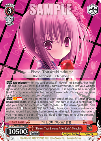 (RR) 3/2 Tomoka (Dengeki Bunko/Sports)
