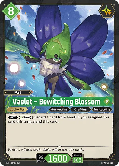 [SR] Vaelet – Bewitching Blossom